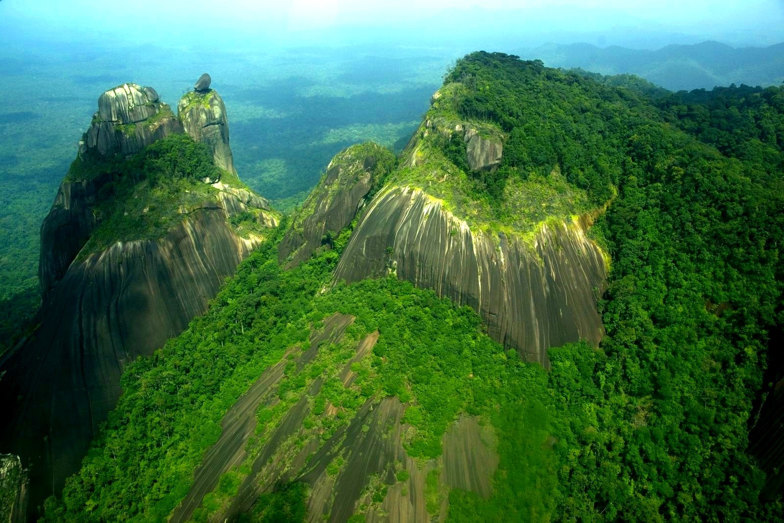 How To Get Vietnam Visa From Suriname Tourist Information
