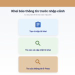 Hướng dẫn khai báo nhập cảnh Sân bay Tân Sơn Nhất