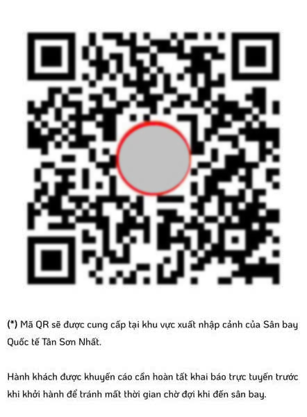 khai báo nhập cảnh Sân bay Tân Sơn Nhất